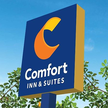 Comfort Inn & Suites Newark Liberty International Airport المظهر الخارجي الصورة